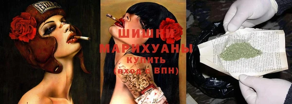 индика Нягань