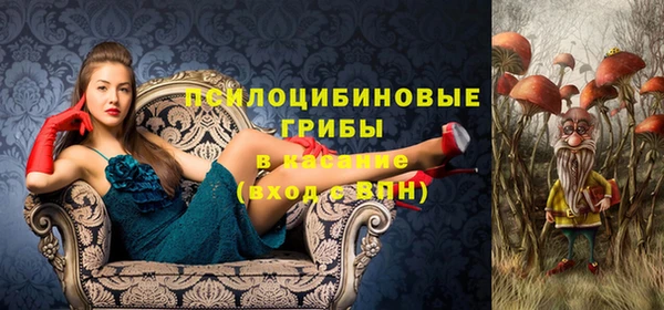 твердый Алексин