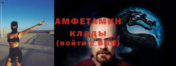 индика Нягань
