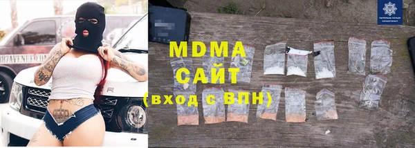 индика Нягань